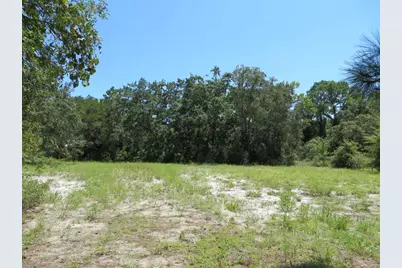 2648-64 Oak St, Carrabelle, FL 32322 - Photo 11