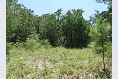 2648-64 Oak St, Carrabelle, FL 32322 - Photo 9