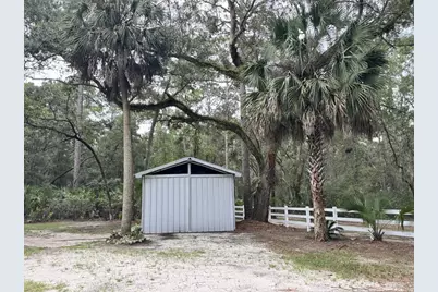 139 Carter Rd, Crawfordville, FL 32327 - Photo 5