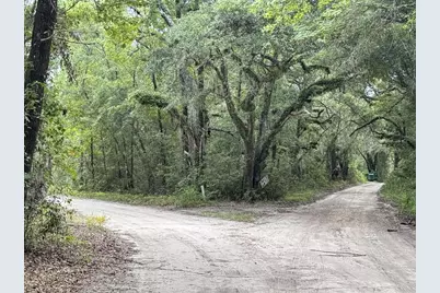 139 Carter Rd, Crawfordville, FL 32327 - Photo 47