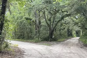 139 Carter Rd, Crawfordville, FL 32327 - Photo 47
