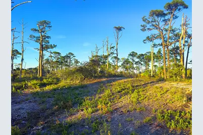 6214 Cape San Blas Rd, Cape San Blas, FL 32456 - Photo 7