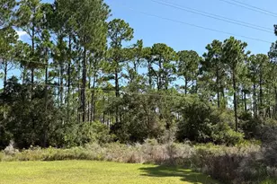 Tbd Cr 30-A, Cape San Blas, FL 32456 - Photo 1