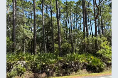 Tbd Cr 30-A, Cape San Blas, FL 32456 - Photo 5