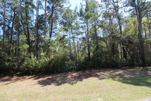 260 Boncycle Land Dr, Eastpoint, FL 32328 - Photo 1