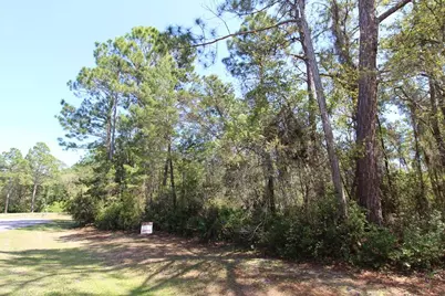 260 Boncycle Land Dr, Eastpoint, FL 32328 - Photo 3