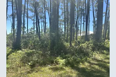 2790 Highway 98, Carrabelle, FL 32322 - Photo 1