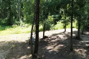 45 Donaldson-Williams Rd, Crawfordville, FL 32327 - Photo 31