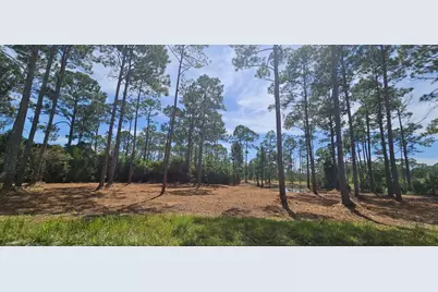 178 Baywood Dr, Carrabelle, FL 32322 - Photo 1