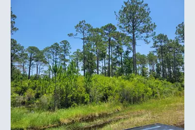 178 Baywood Dr, Carrabelle, FL 32322 - Photo 9