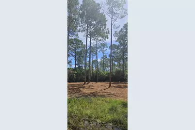 178 Baywood Dr, Carrabelle, FL 32322 - Photo 3