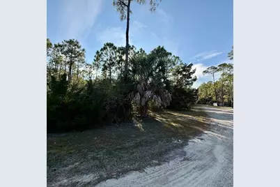 1259 E Gulf Beach Dr, Saint George Island, FL 32328 - Photo 1