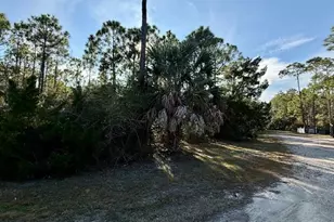 1259 E Gulf Beach Dr, Saint George Island, FL 32328 - Photo 1