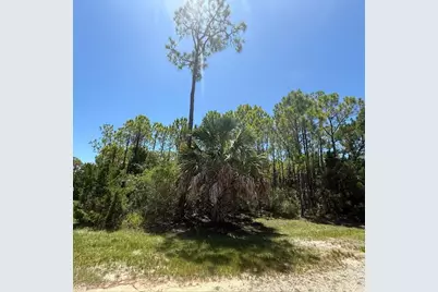 1259 E Gulf Beach Dr, Saint George Island, FL 32328 - Photo 3