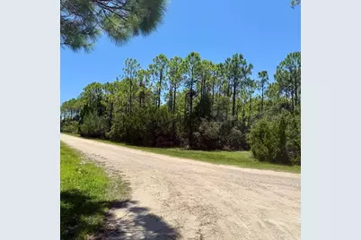 1259 E Gulf Beach Dr, Saint George Island, FL 32328 - Photo 5