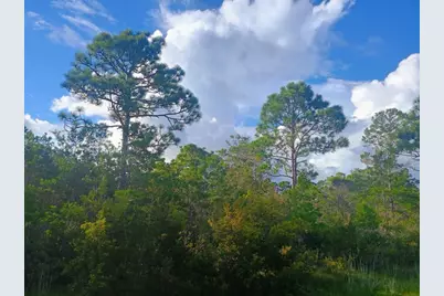 368 Ridgecrest Pkwy, Eastpoint, FL 32328 - Photo 1