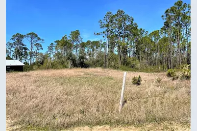 175 Beach St, Port Saint Joe, FL 32456 - Photo 5