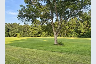 Tbd Hwy 71 N, Wewahitchka, FL 32465 - Photo 1
