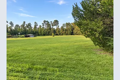 Tbd Hwy 71 N, Wewahitchka, FL 32465 - Photo 5