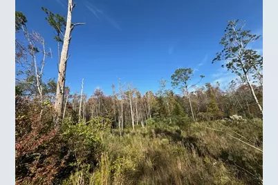 Lot 2 McClellan St SE, Kinard, FL 32449 - Photo 17