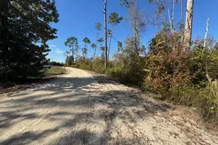 Lot 2 McClellan St SE, Kinard, FL 32449 - Photo 1