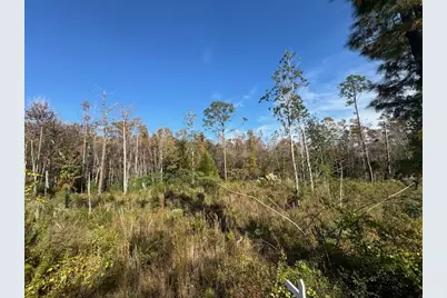 Lot 2 McClellan St SE, Kinard, FL 32449 - Photo 13