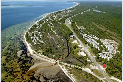 3050 Hwy 98 W #D-100, Port Saint Joe, FL 32456 - Photo 5