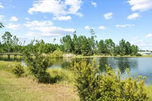 106 Calmwater Cir, Wewahitchka, FL 32465 - Photo 29