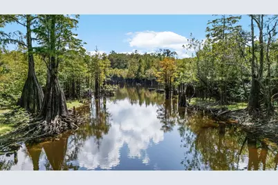 492 Land Dr, Wewahitchka, FL 32465 - Photo 53