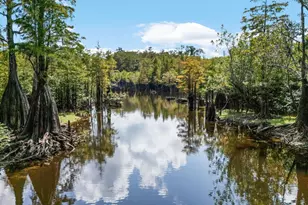 492 Land Dr, Wewahitchka, FL 32465 - Photo 53