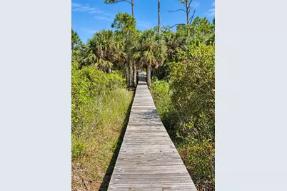 1580 Indian Pass Rd, Port Saint Joe, FL 32456 - Photo 31