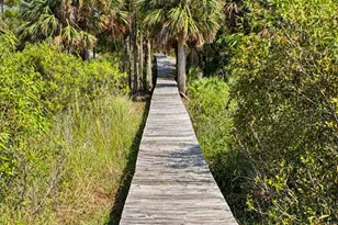 1580 Indian Pass Rd, Port Saint Joe, FL 32456 - Photo 31