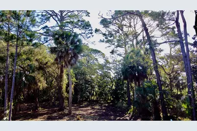 Lot 37 Waters Edge Dr, Port Saint Joe, FL 32456 - Photo 19