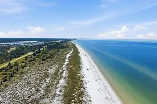 248 Sea Tern Ln, Port Saint Joe, FL 32456 - Photo 33