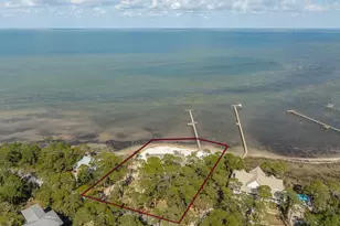 1419 Dove Ln, Saint George Island, FL 32328 - Photo 73