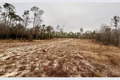 Tbd E Creekview Dr, Wewahitchka, FL 32465 - Photo 5
