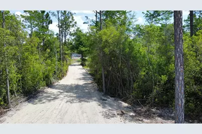 Tbd E Creekview Dr, Wewahitchka, FL 32465 - Photo 3
