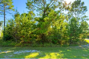 213 Stingray Ln, Port Saint Joe, FL 32456 - Photo 1