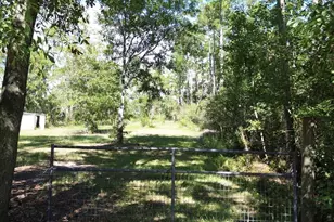 6795 Larimore St, Wewahitchka, FL 32465 - Photo 1