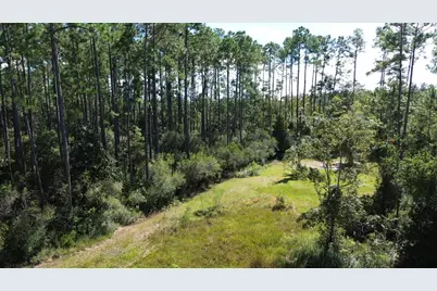 6795 Larimore St, Wewahitchka, FL 32465 - Photo 9