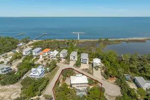 1649 Wayfarers Ct, Saint George Island, FL 32328 - Photo 1