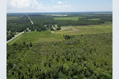 Lot 1 Hwy 71, Wewahitchka, FL 32465 - Photo 13
