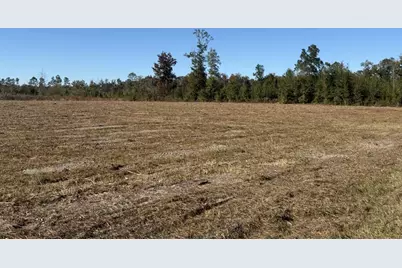 Lot 1 Hwy 71, Wewahitchka, FL 32465 - Photo 1