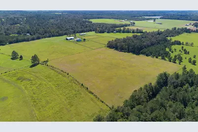 289 Mockingbird Ln, Chattahoochee, FL 32324 - Photo 3