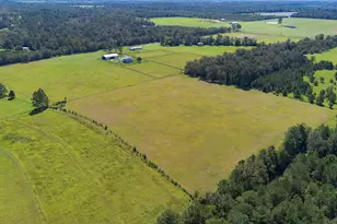 289 Mockingbird Ln, Chattahoochee, FL 32324 - Photo 3