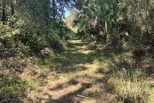140 Jeffie Tucker Rd, Eastpoint, FL 32328 - Photo 17