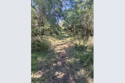 140 Jeffie Tucker Rd, Eastpoint, FL 32328 - Photo 19