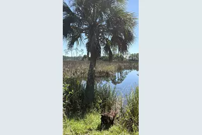 140 Jeffie Tucker Rd, Eastpoint, FL 32328 - Photo 21