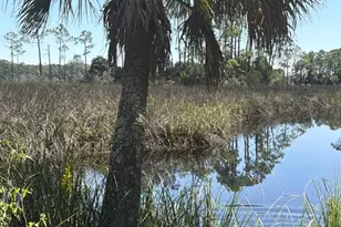 140 Jeffie Tucker Rd, Eastpoint, FL 32328 - Photo 21