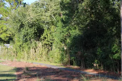 257 Royal Tern Way, Carrabelle, FL 32322 - Photo 1